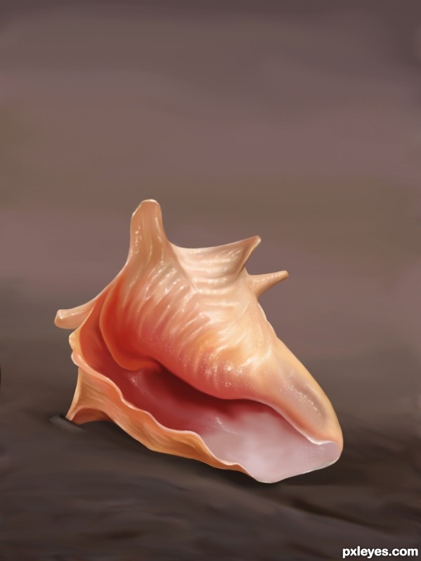 Creation of The lonely Conch...: Final Result